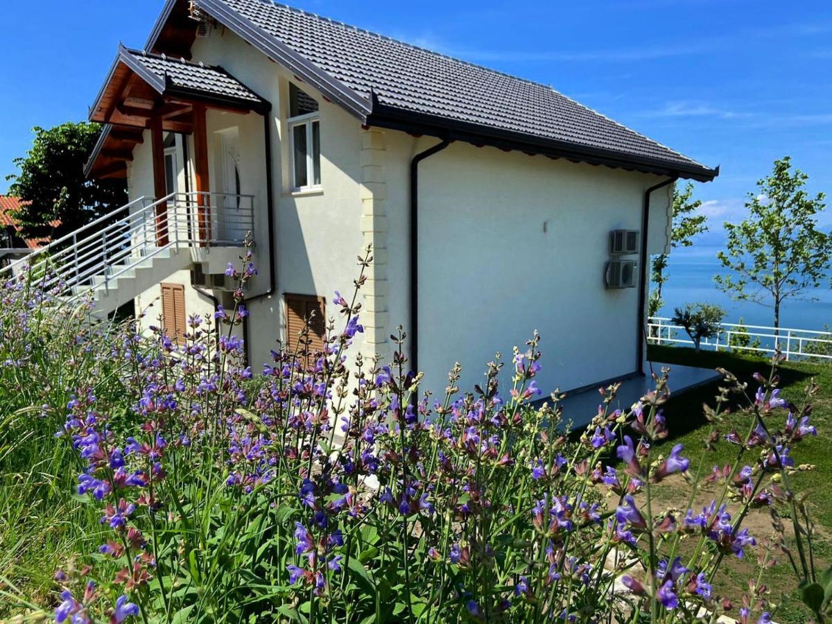 Xhuli Guesthouse Shkodër エクステリア 写真