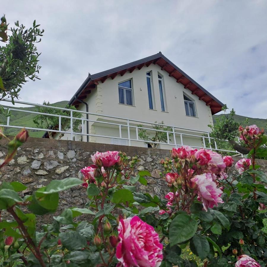 Xhuli Guesthouse Shkodër エクステリア 写真