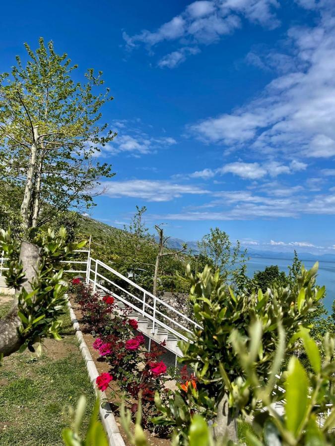 Xhuli Guesthouse Shkodër エクステリア 写真