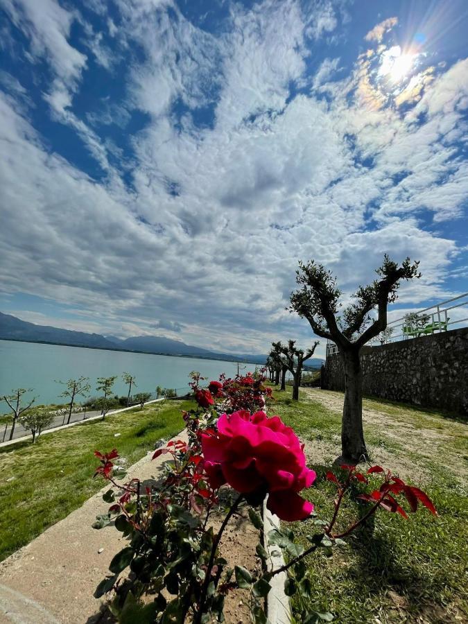 Xhuli Guesthouse Shkodër エクステリア 写真